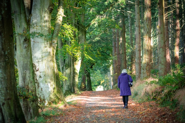 Melgrevtoria registrace